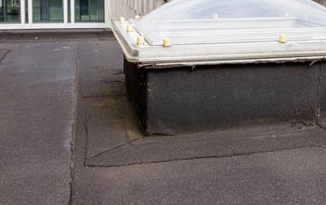disadvantages of Craigmarloch flat roofs