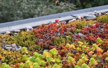 the cost of Craigmarloch green roof installation